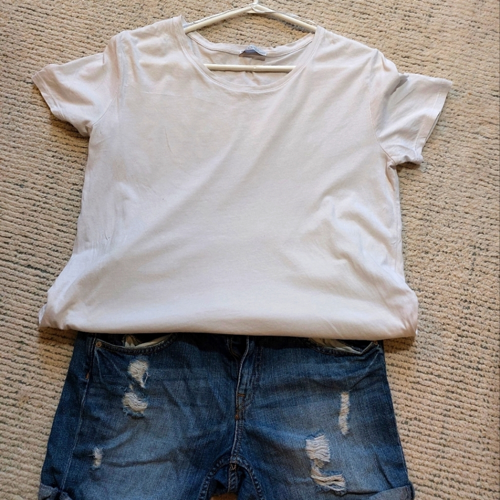 2/$35 Zara white basic tee